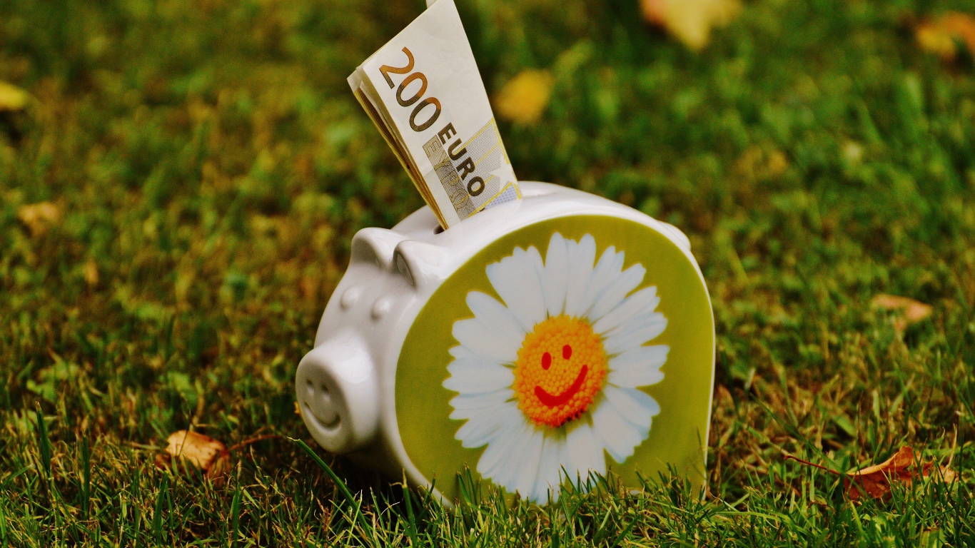 Купюры евро вставлены в свинью копилку с рисунком ромашки