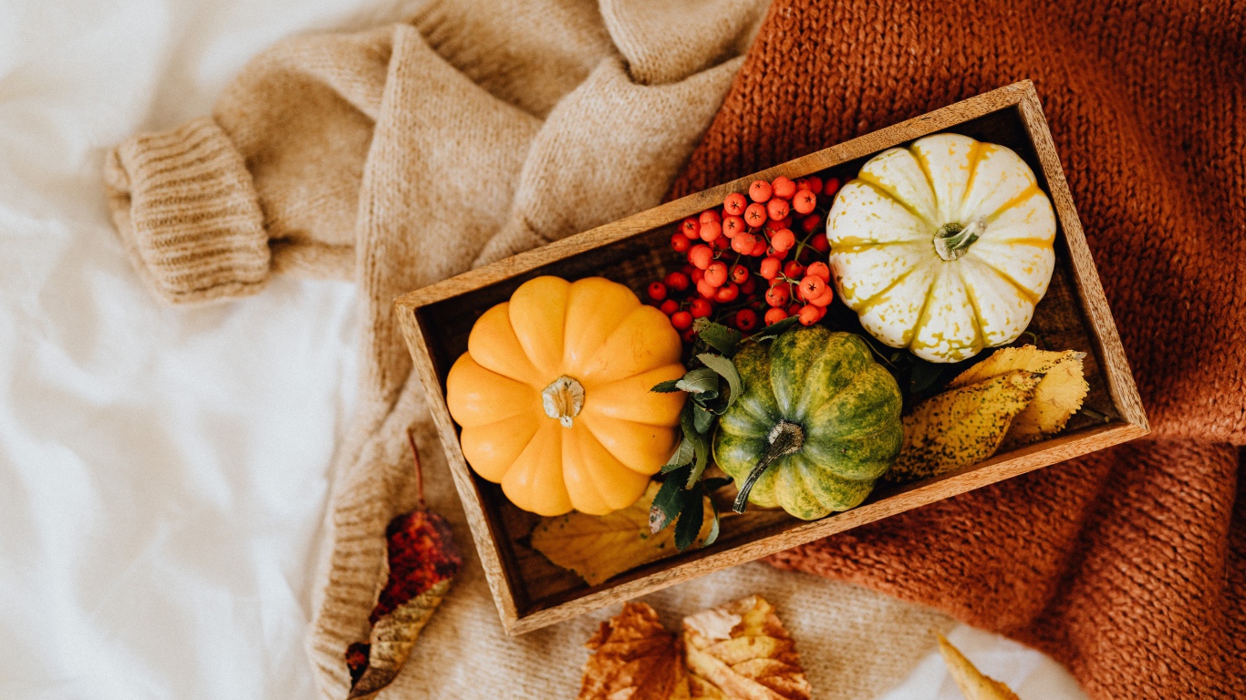 Декоративная тыква в ящике на столе с рябиной