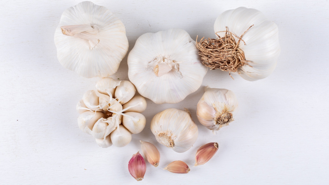 Garlic on white background close up