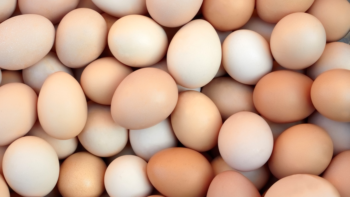 Много домашних яиц крупным планом