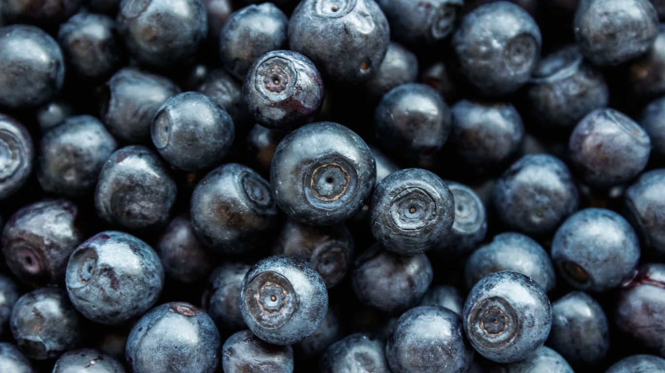 Ягоды черники крупным планом 