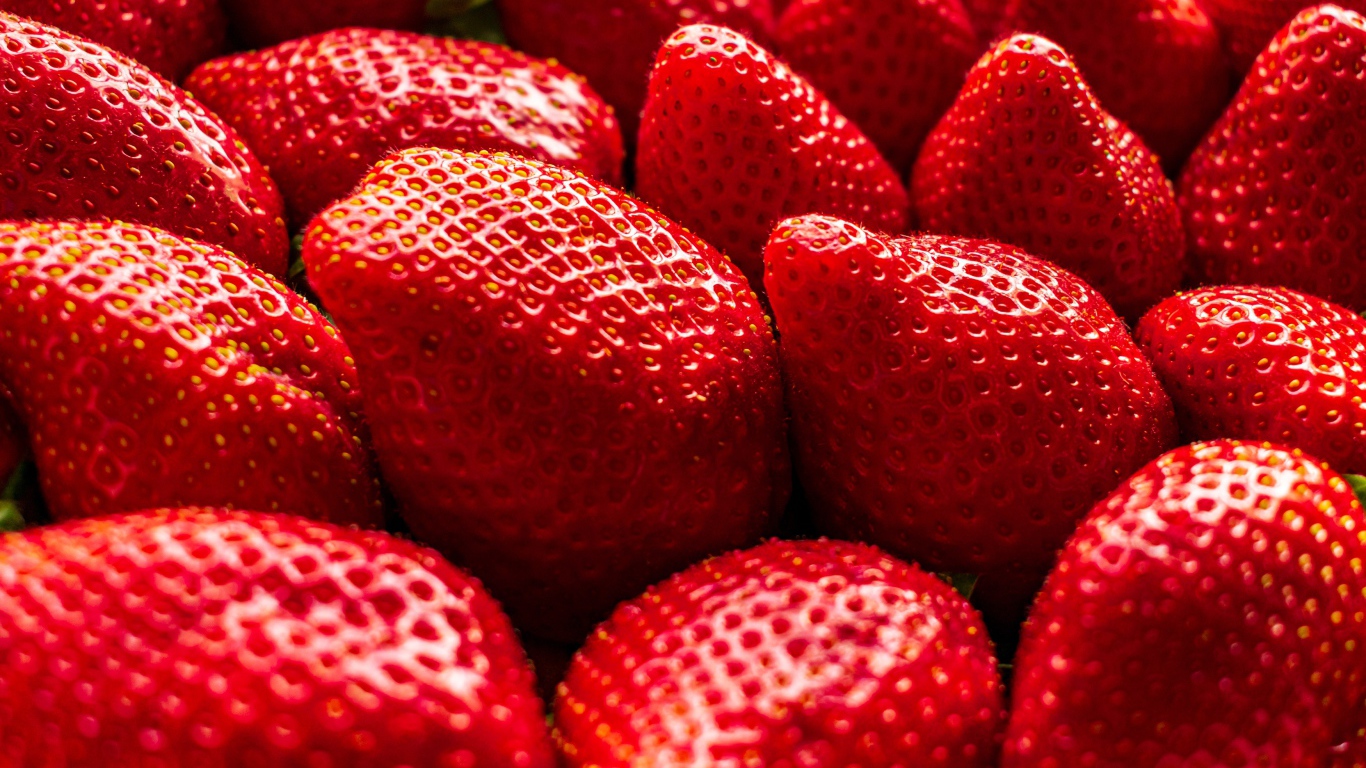 Много сладкой спелой красной клубники крупным планом