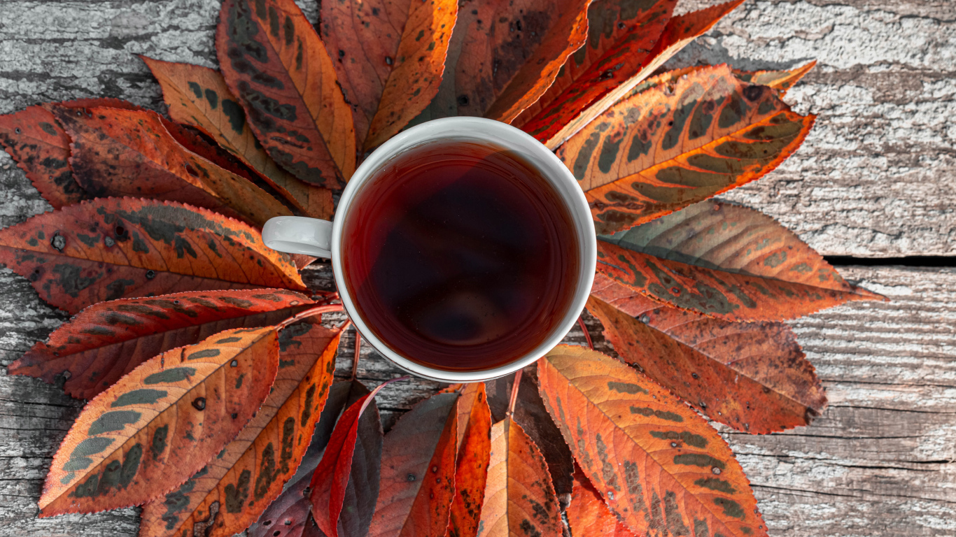 Чашка чая на столе с желтыми листьями