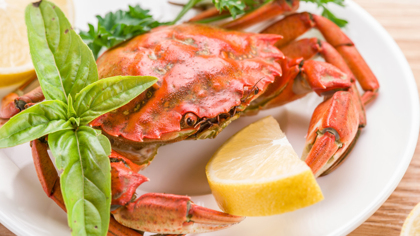 Cooked crab on a plate with lemon and herbs