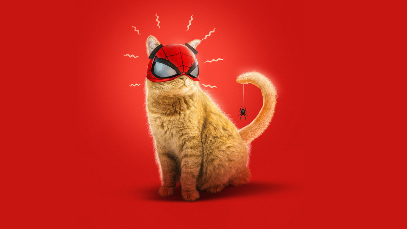 Ginger cat in a spiderman mask on a red background