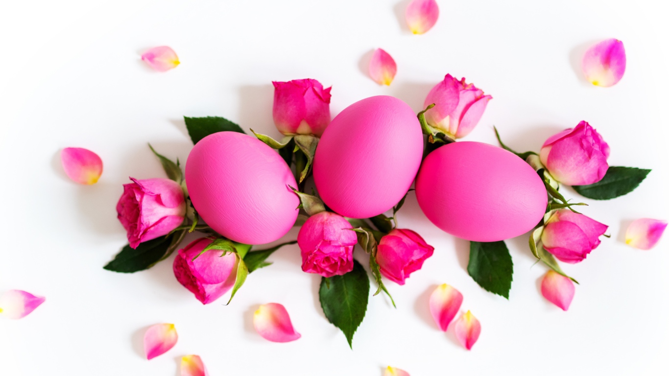 Розовые крашеные яйца с розами на белом фоне на Пасху