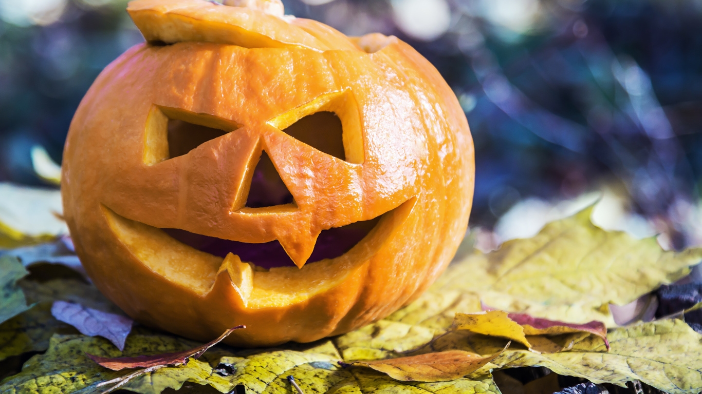 Тыква на Хэллоуин стоит на листке