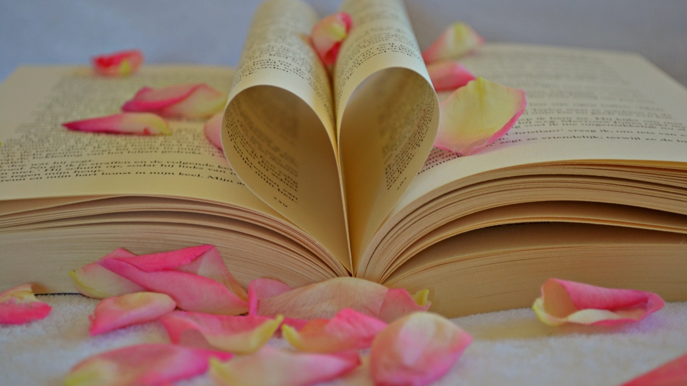 Сердце из листов книги с лепестками розы 
