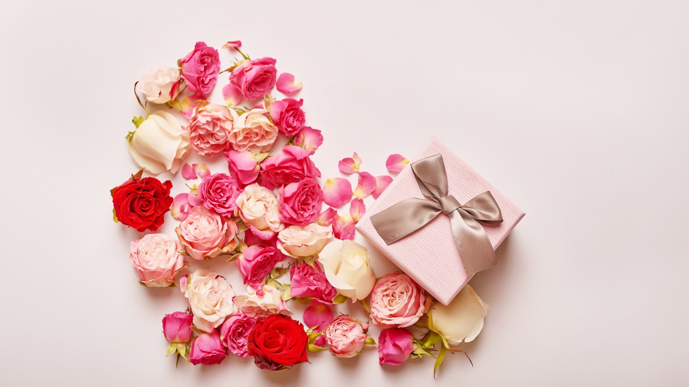 Сердце из цветов розы на розовом фоне с подарком