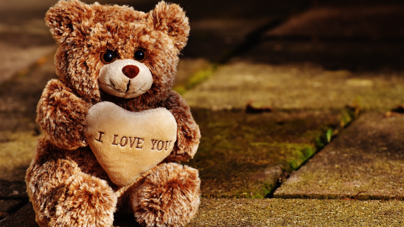 Игрушечный медведь с сердцем сидит на дороге 