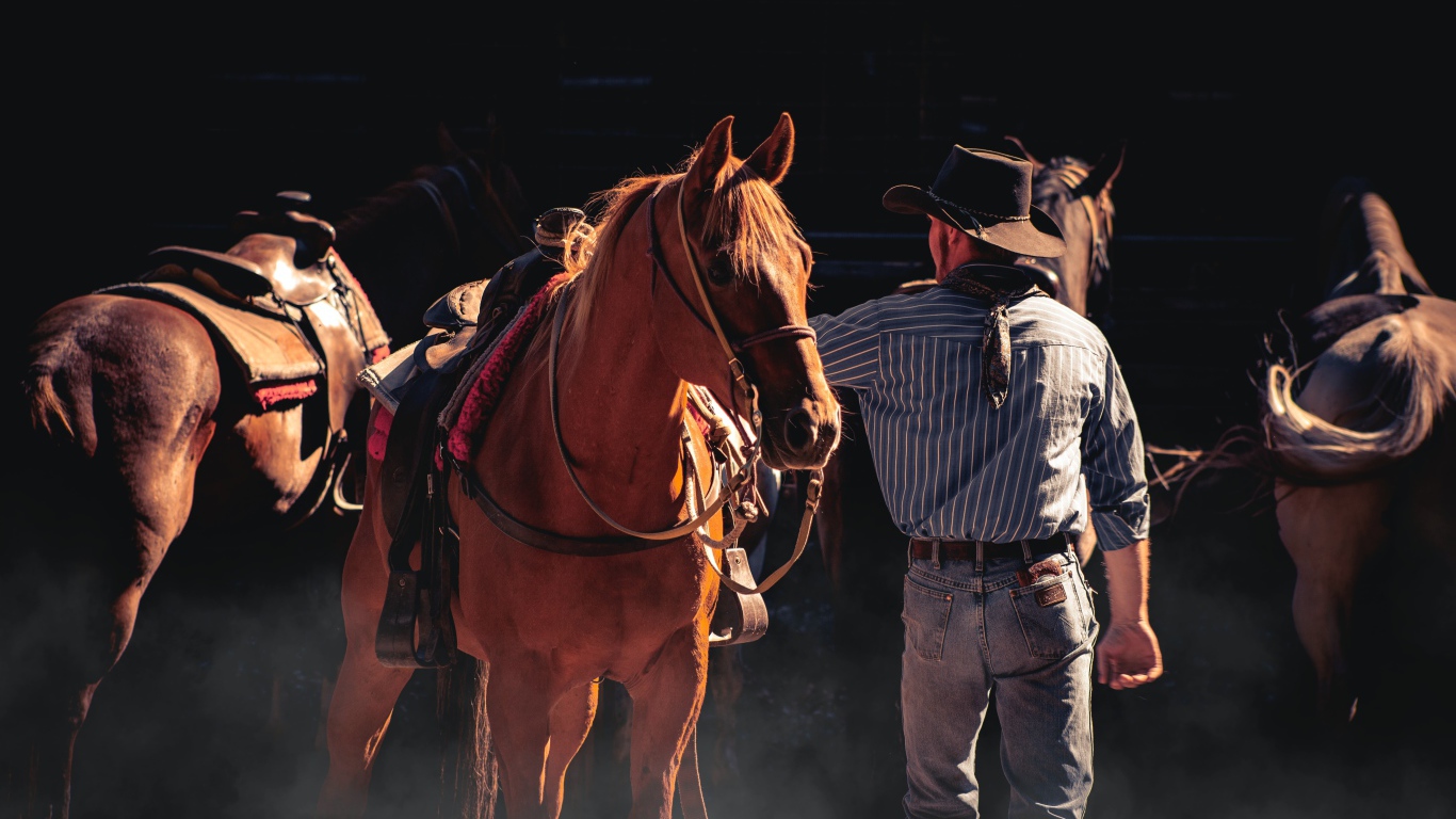 Мужчина ковбой с коричневой лошадью 