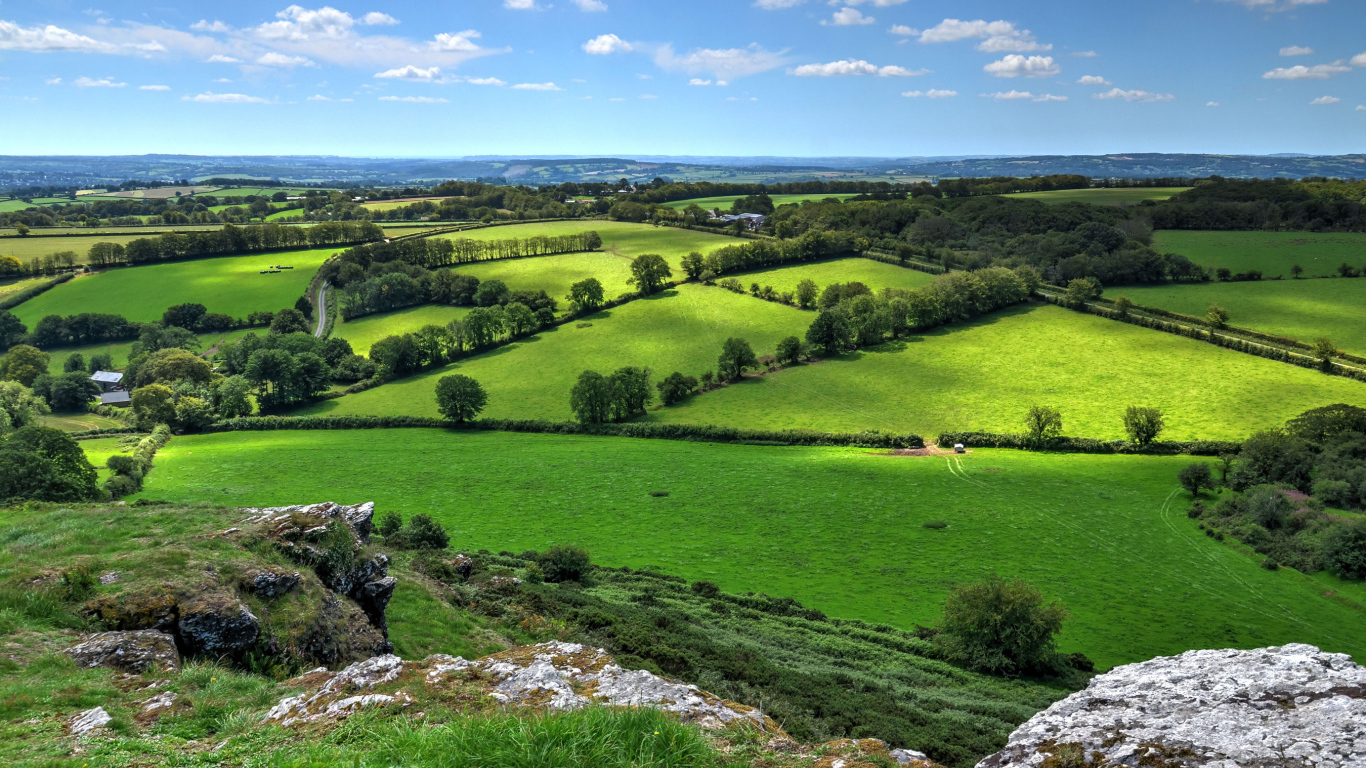 Красивые зеленые луга в лучах солнца под голубым небом