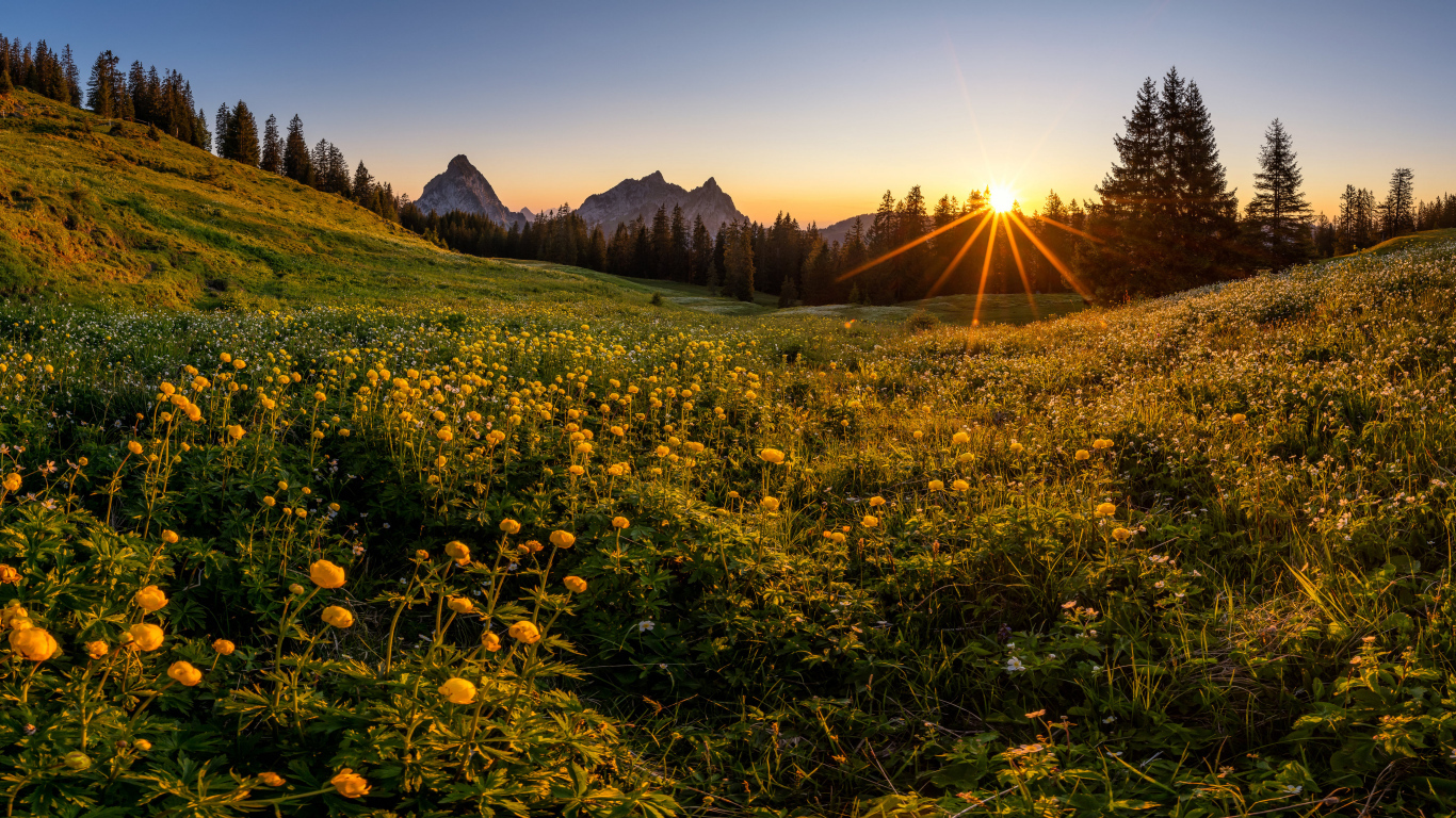 Красивый горный пейзаж солнечным днем