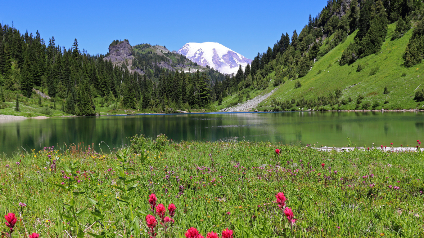 Красивый живописный пейзаж у горного озера 
