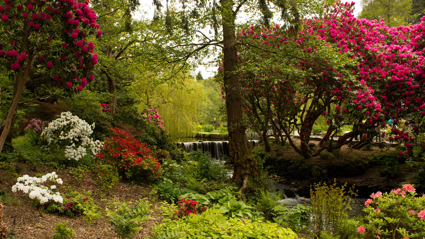 Красивый живописный парк с цветущими кустами