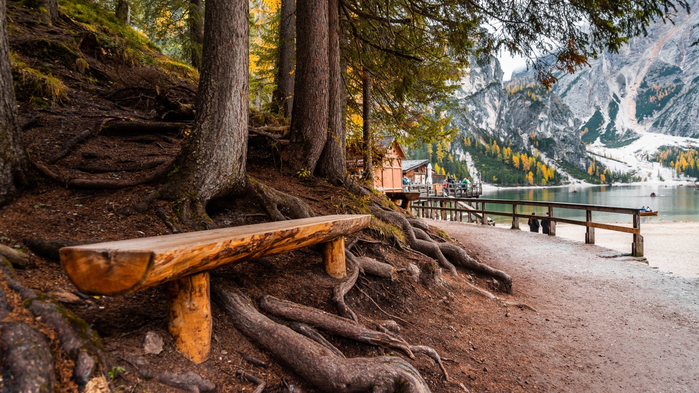 Лавка у деревьев в  парке у озера в горах 