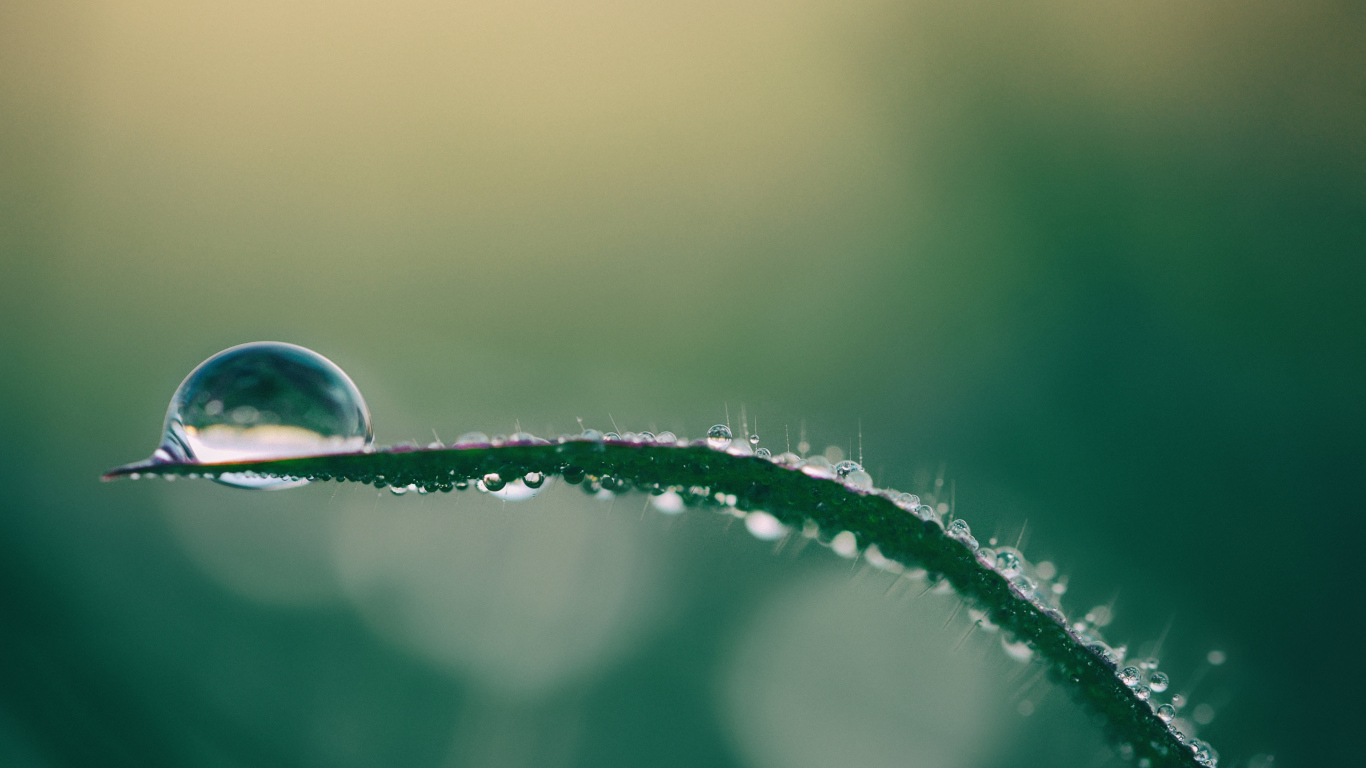 Капля росы на зеленой траве крупным планом