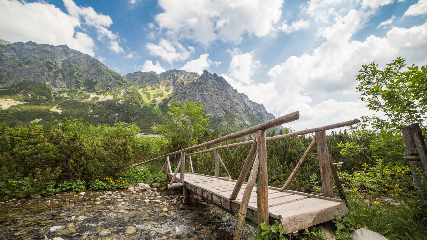 Старый деревянный мост через речку на фоне гор
