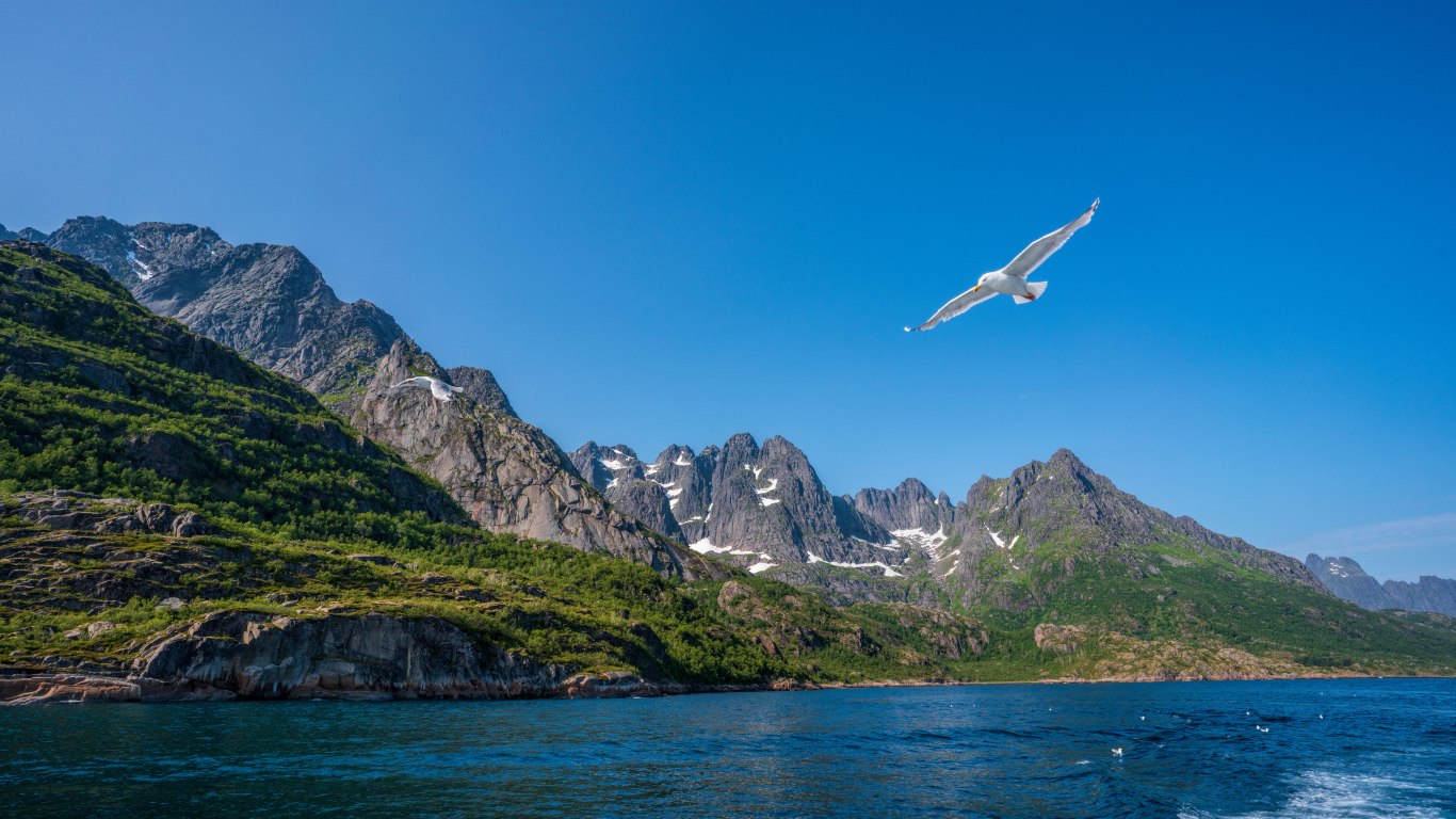Живописные Лофотенские острова под голубым небом