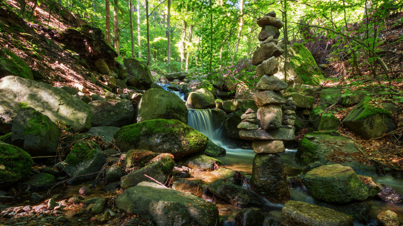 Вода стекает по покрытых мхом камням