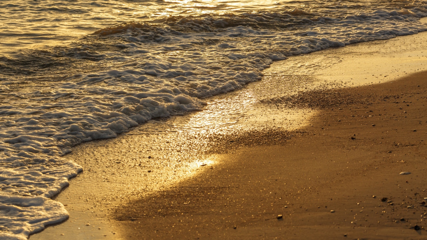Белая морская пена на желтом мокром песке на пляже