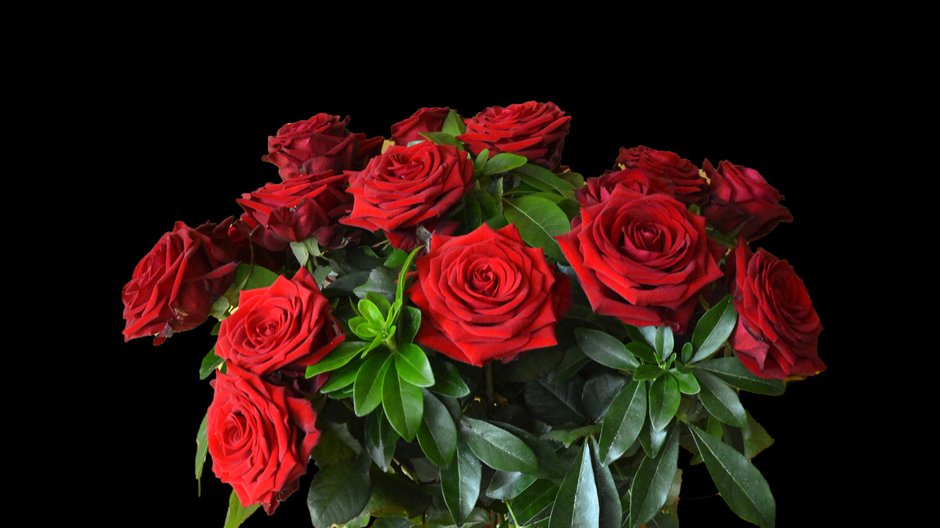 Большой букет красных роз на черном фоне