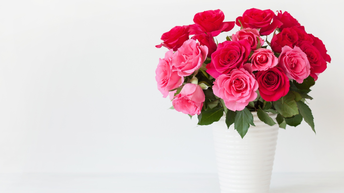 Букет красивых розовых роз в белой вазе на белом фоне