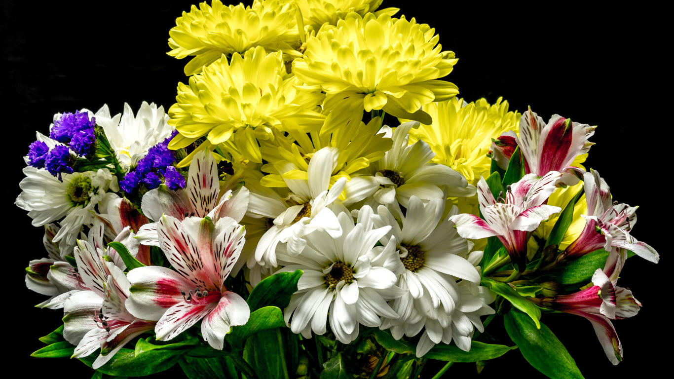 Букет из цветов хризантемы и альстромерии на черном фоне