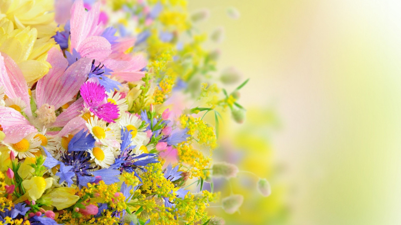 Букет разноцветных ярких летних цветов на размытом фоне