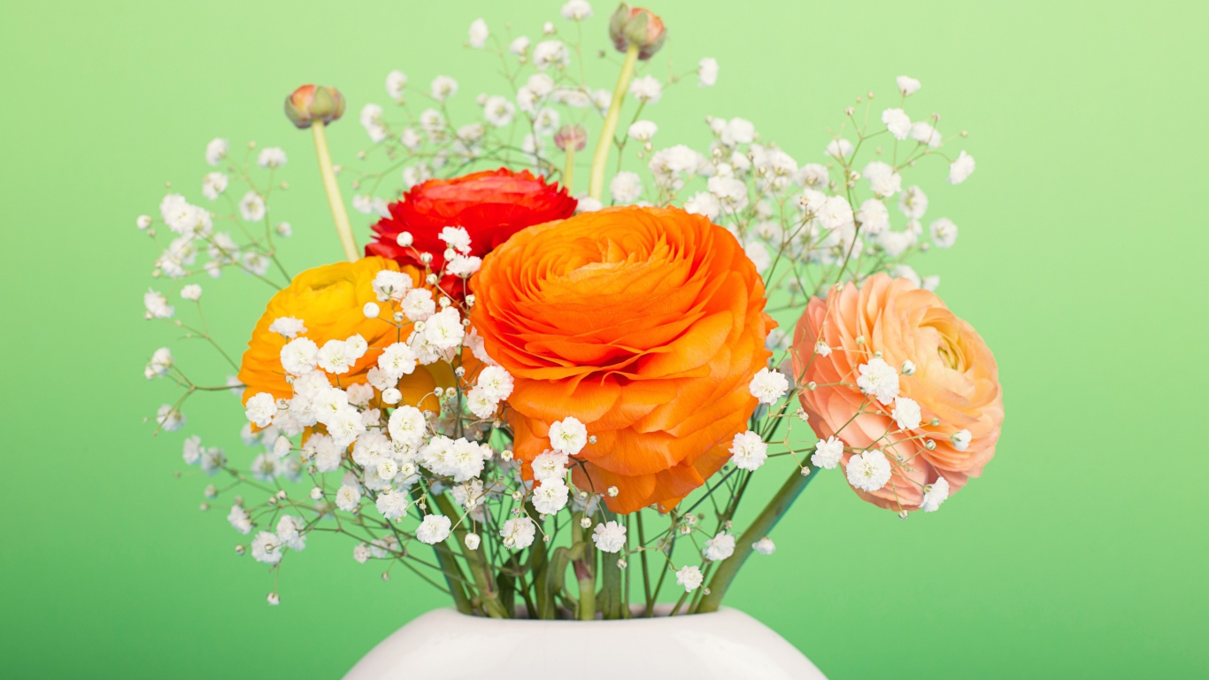 Букет разноцветных лютиков в белыми цветами в вазе на зеленом фоне