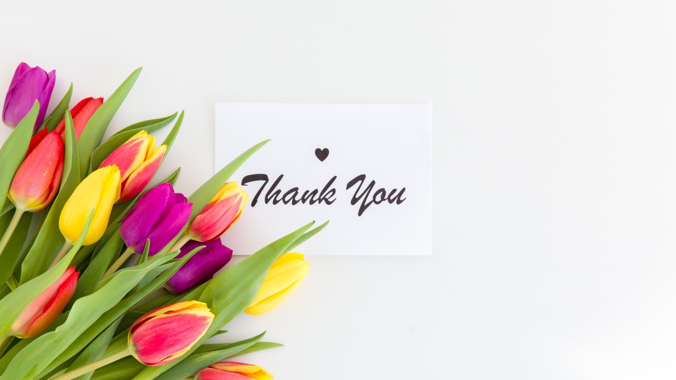 Букет разноцветных тюльпанов и надпись спасибо на белом фоне