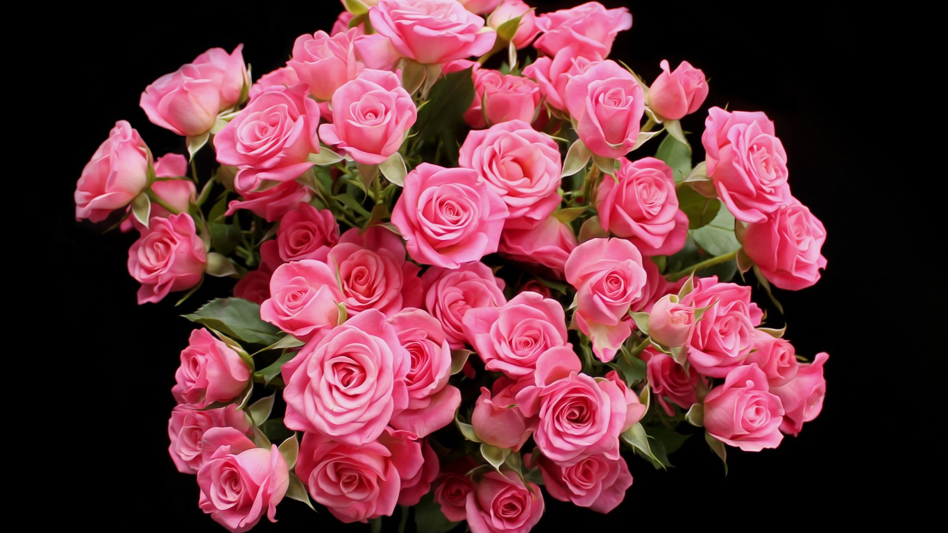 Букет розовых роз на черном фоне