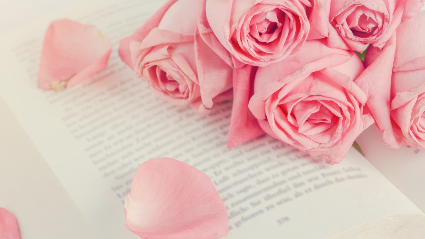 Букет розовых роз на книге