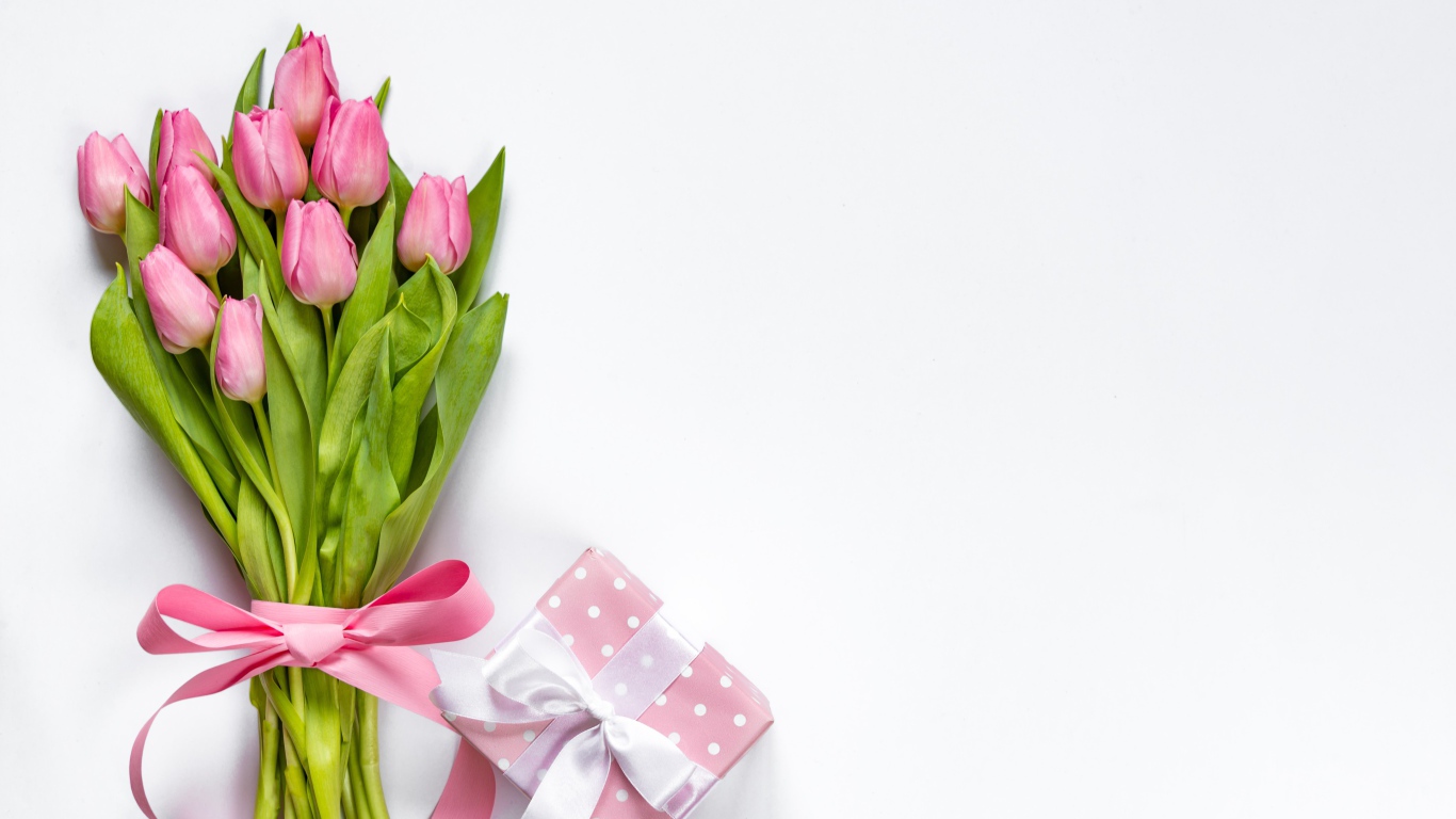Bouquet of pink tulips with a bow on a white background with a gift