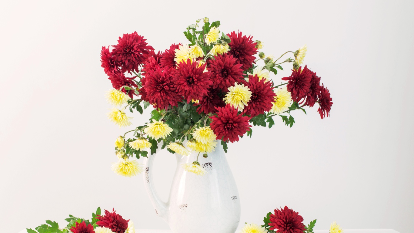 Букет красных и желтых хризантем в вазе на белом фоне