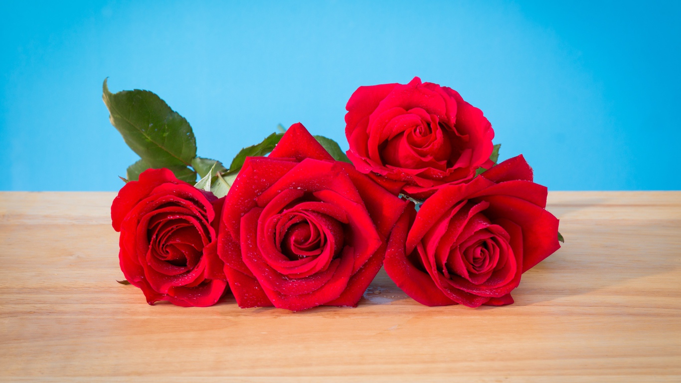 Букет красных роз на голубом фоне 