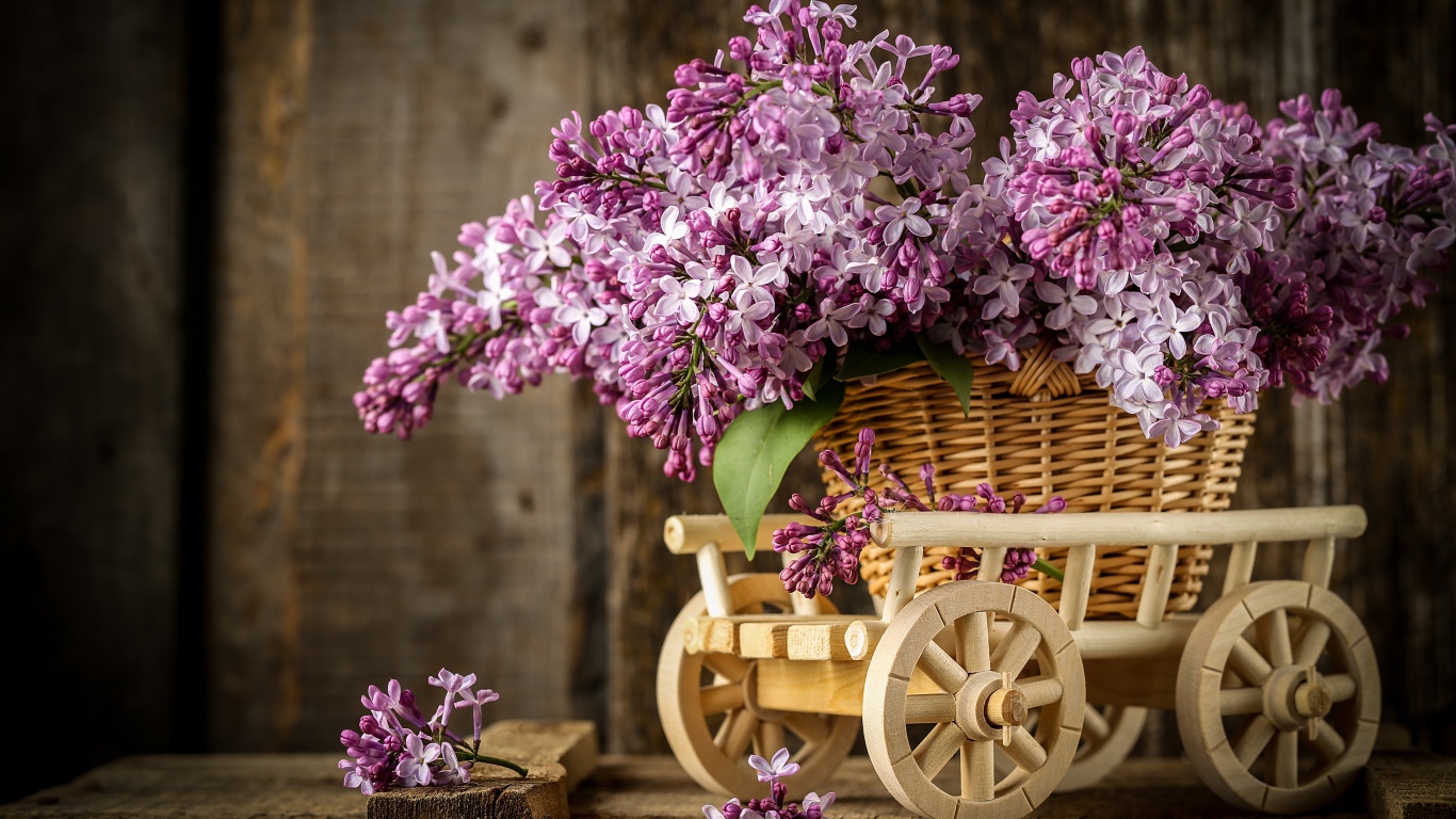 Букет весенней сирени в плетеной корзине