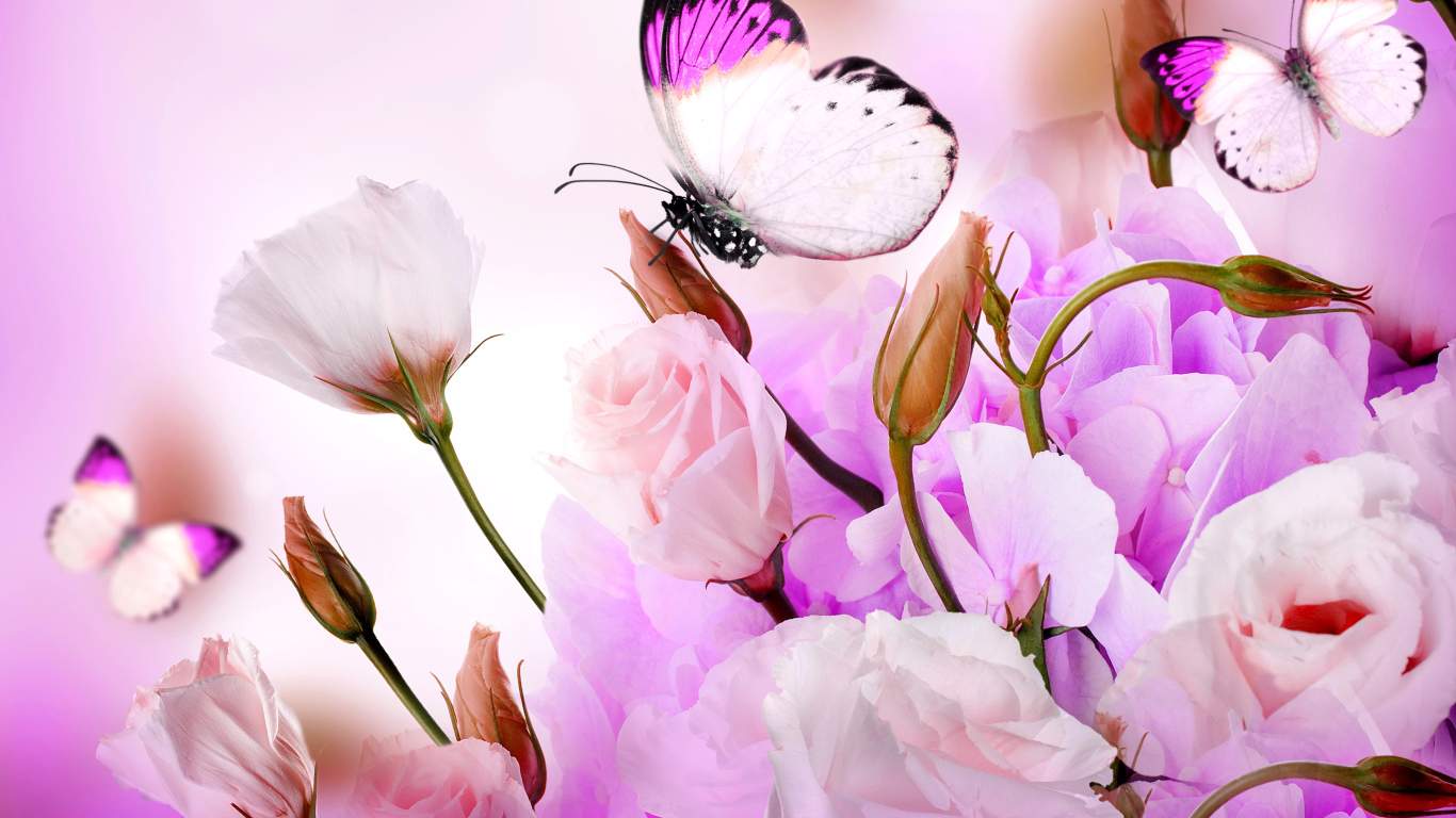 Розовые цветы эустомы с бутонами на фоне с бабочками