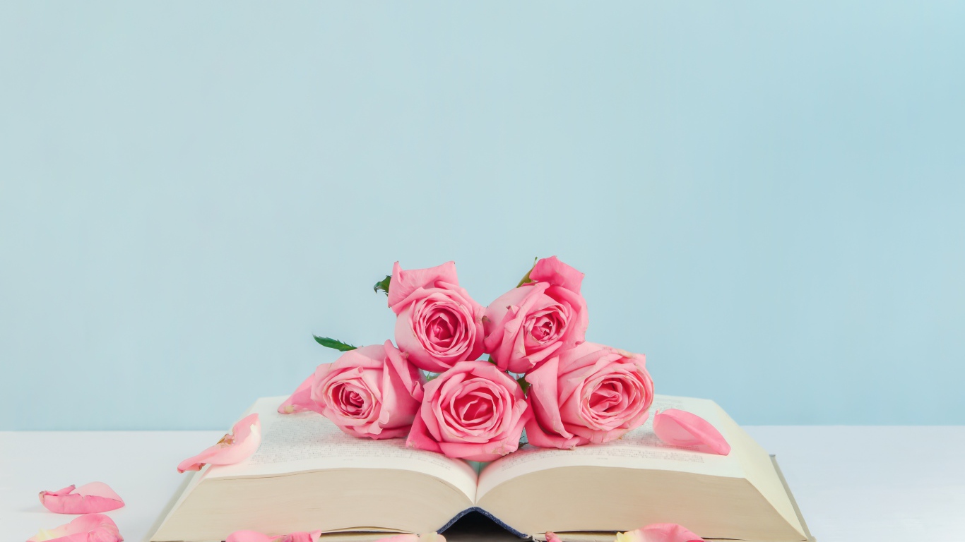 Розовые цветы розы с книгой на голубом фоне