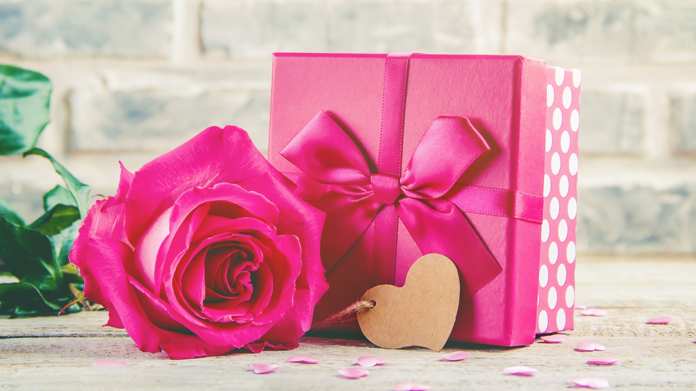 Розовая роза на столе с большим подарком с бантом