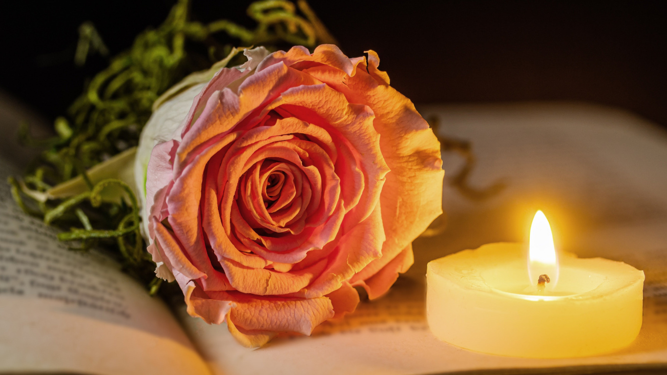 Нежная розовая роза с зажженной свечей лежат на книге