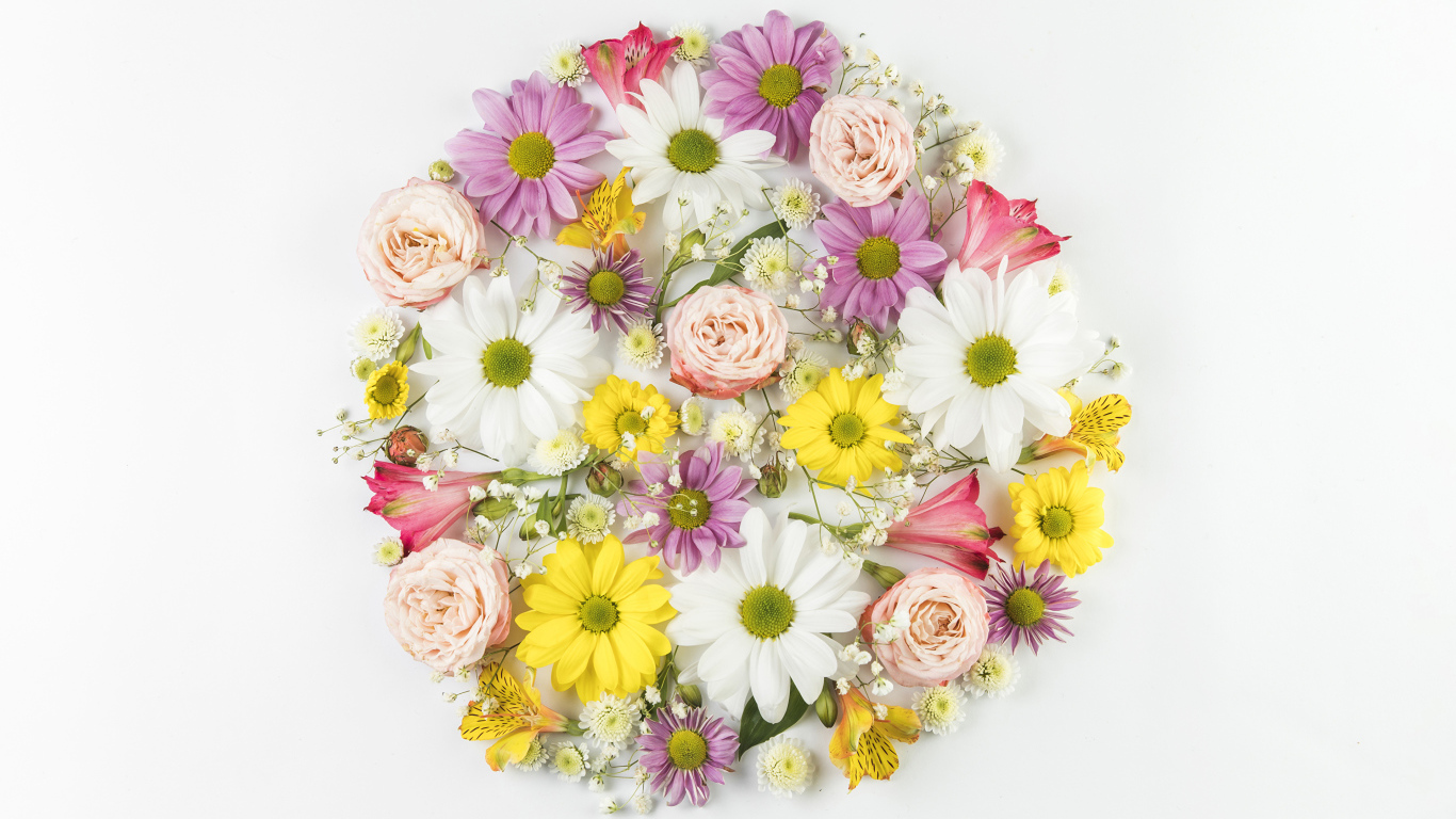 Сорванные цветы на белом фоне