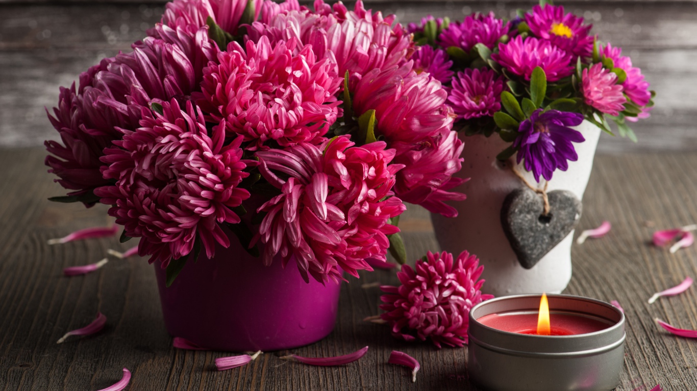 Два красивых букета цветов астры со свечой