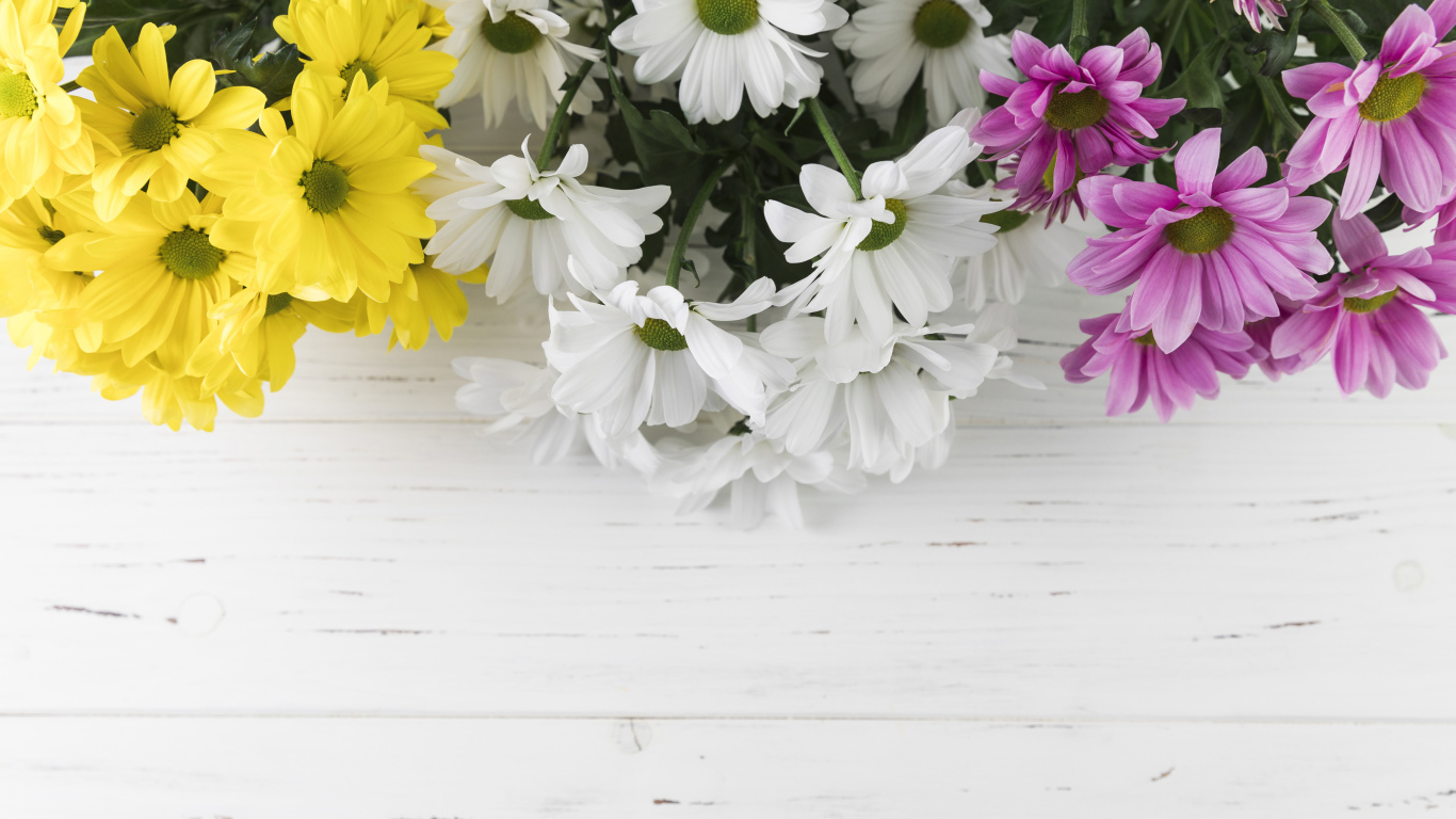 Желтые, белые и розовые хризантемы на белом деревянном столе