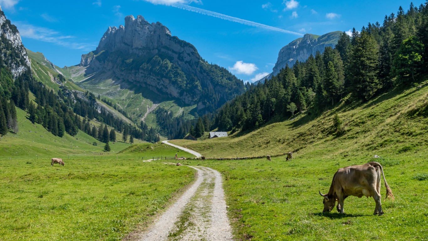 Красивый вид на гору под голубым небом летом 