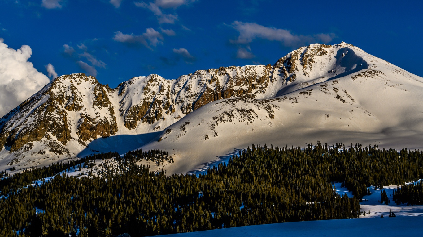 Зеленый лес на покрытых снегом горах 