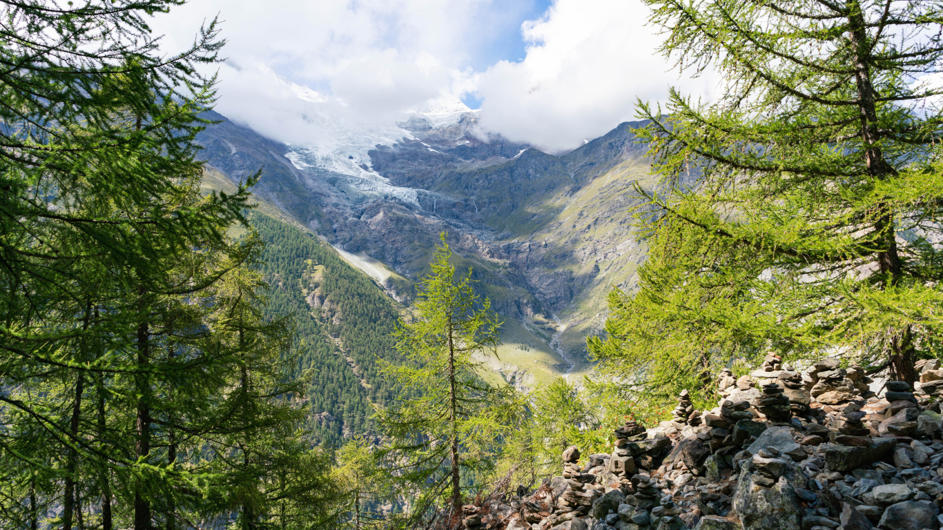 Высокие покрытые хвойным лесом горы под облачным небом 