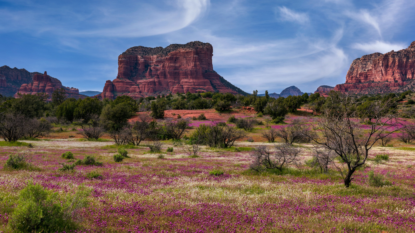 Скалистые горы под красивым голубым небом, США