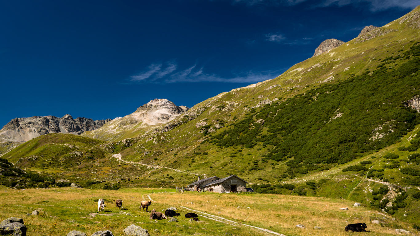 Поселение у покрытых зеленью гор под голубым небом