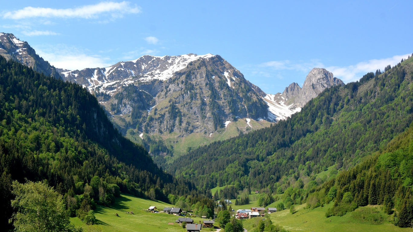 Вид на заснеженные горы и зеленый лес под голубым небом 